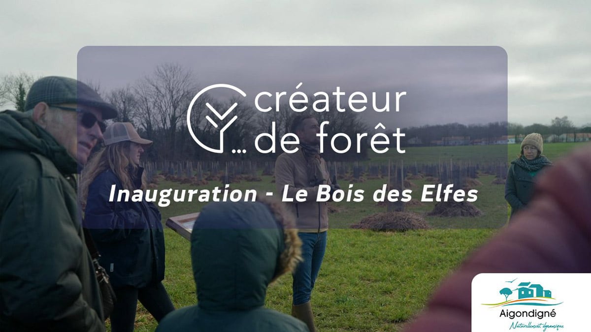 Regarder la vidéo accessible aux mal voyants et mal entendants