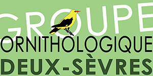 Groupe Ornithologique Deux-Sèvres