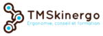 Logo TMSkinergo
